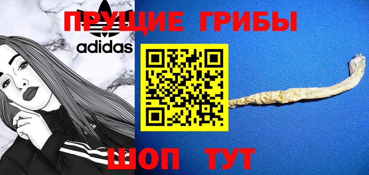 Полысаево  Псилоцибиновые грибы MAGIC MUSHROOMS  Псилоцибиновые грибы мицелий  Вход с VPN 